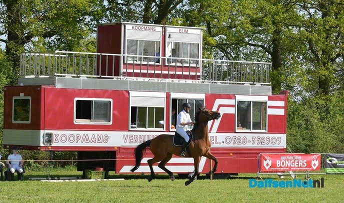 Concours Hippique aan de Ruitenborghstraat - Foto: Johan Bokma