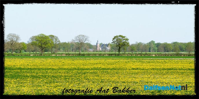 Het voorjaar kleurt geel - Foto: Ingezonden foto