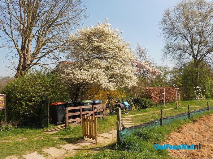 Volop lente - Foto: Eigen geleverde foto