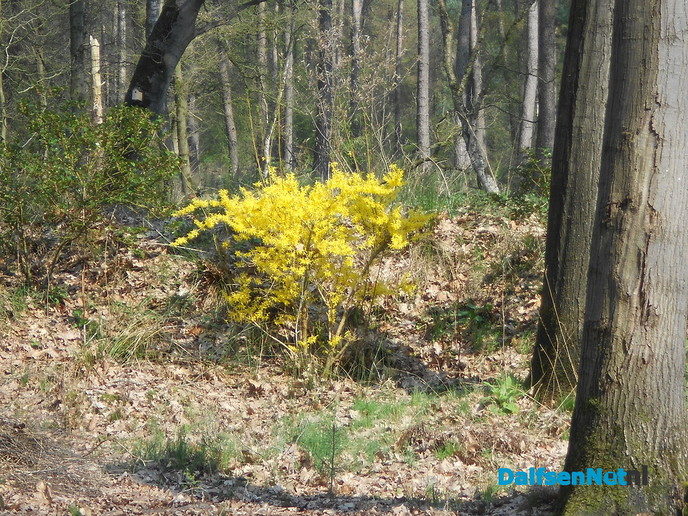 Volop lente - Foto: Eigen geleverde foto