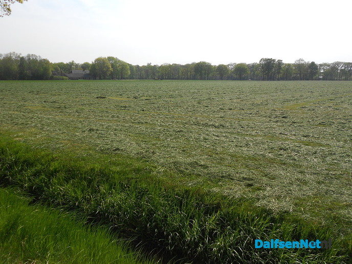 Prachtig die frisse voorjaarskleuren