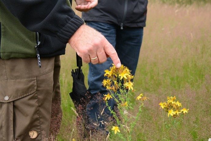 Workshop ‘Leren beleven’ voor natuurvrijwilligers - Foto: Eigen geleverde foto