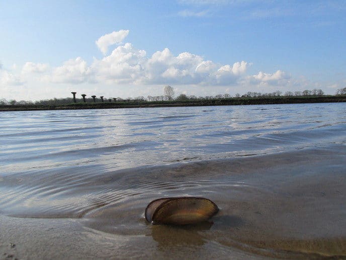 Zomaar een paar foto’s van Dalfsen - Foto: Ingezonden foto