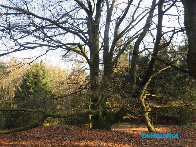 De natuur heeft weer veel moois te bieden - Foto: Wim