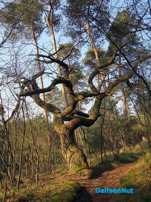 De natuur heeft weer veel moois te bieden - Foto: Wim