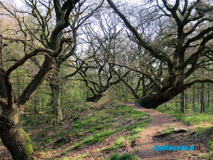 De natuur heeft weer veel moois te bieden - Foto: Wim
