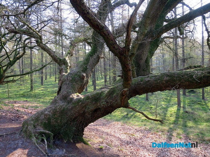De natuur heeft weer veel moois te bieden - Foto: Wim