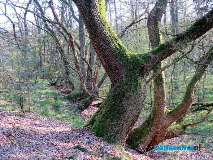 De natuur heeft weer veel moois te bieden - Foto: Wim