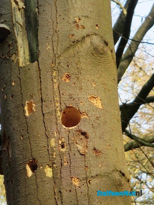 De natuur heeft weer veel moois te bieden - Foto: Wim