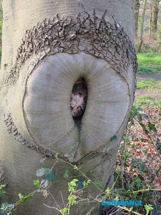 De natuur heeft weer veel moois te bieden - Foto: Wim