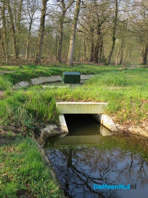 De natuur heeft weer veel moois te bieden - Foto: Wim
