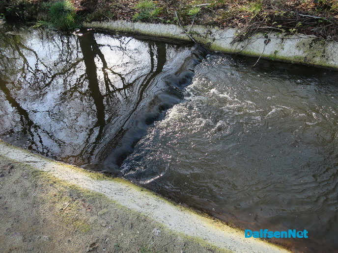 De natuur heeft weer veel moois te bieden - Foto: Wim