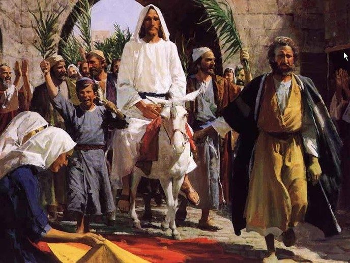 Jezus: op een viervoeter - Foto: Eigen geleverde foto