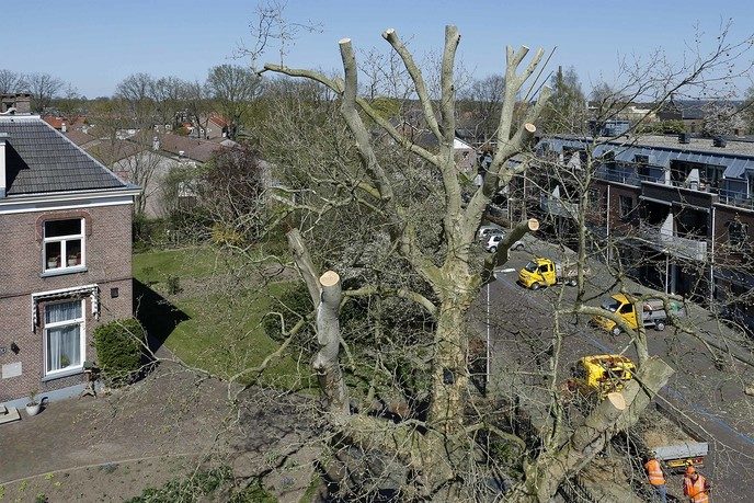 Enkele foto’s vanuit de hoogte genomen - Foto: Paul Scholten