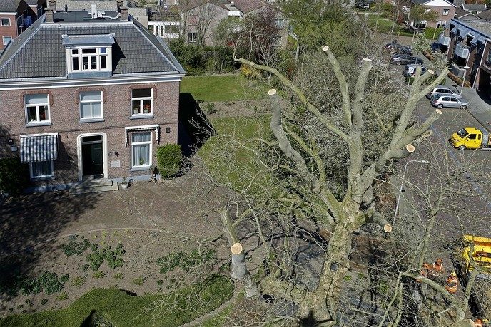 Enkele foto’s vanuit de hoogte genomen - Foto: Paul Scholten