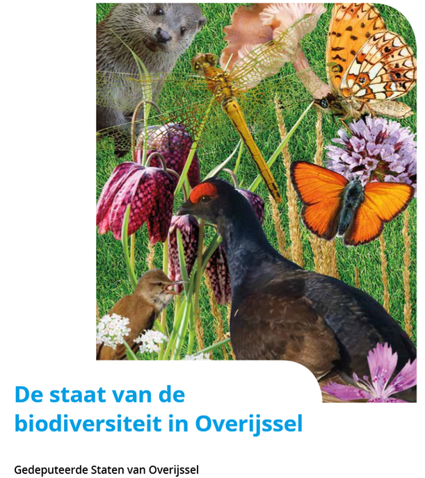 Rapportage provincie over biodiversiteit - Foto: Eigen geleverde foto