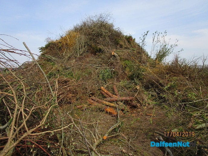 Paasbult - Foto: Ingezonden foto