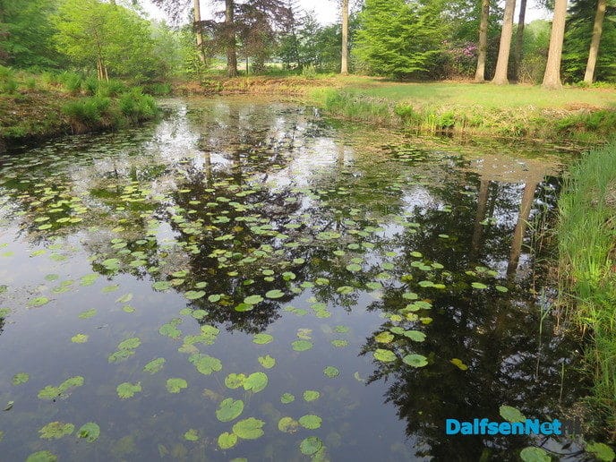 Rododendron heeft slecht jaar achter rug - Foto: Wim