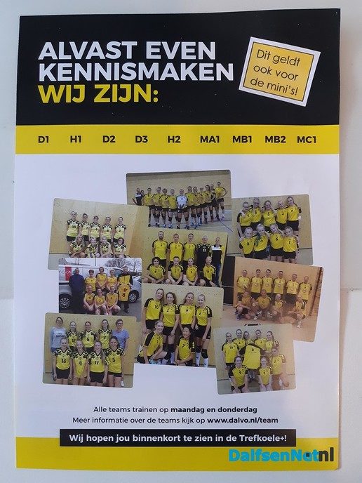 Dalvo geeft aan 200 leerlingen volleybal gymlessen - Foto: Ingezonden foto
