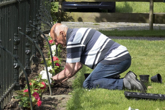 Kwekerij Onderdijk schenkt weer planten aan het hospice - Foto: Geert Bistervels