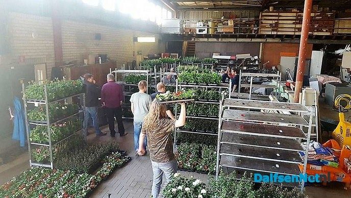 Planten van Scouting dit weekend aan de deur! - Foto: Ingezonden foto