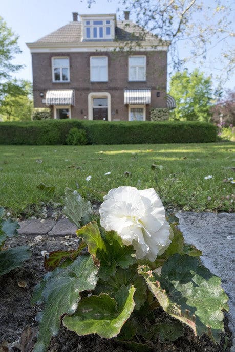 Kwekerij Onderdijk schenkt weer planten aan het hospice - Foto: Geert Bistervels