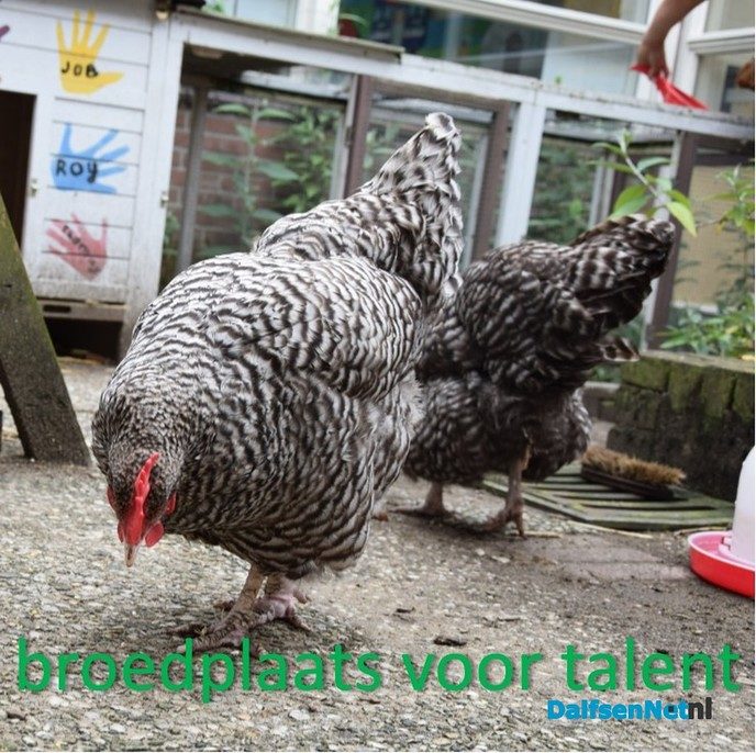 Nieuw logo Cyriacusschool Hoonhorst - Foto: Ingezonden foto