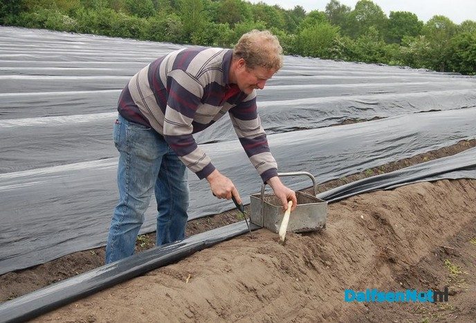 Open dag bij tuinderij Ernie van der Kolk - Foto: Ingezonden foto