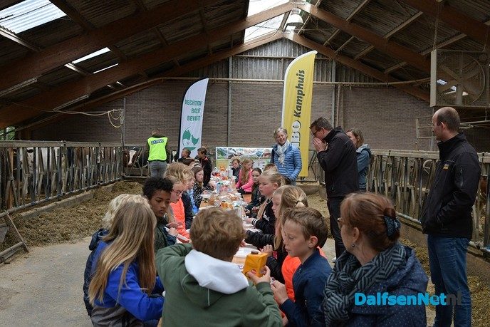 Feijen Diervoeders leert kinderen alles over koeien en hun voer - Foto: Johan Bokma