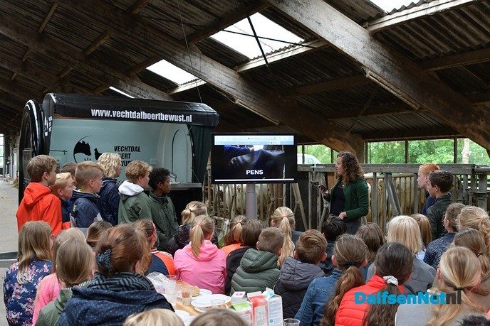 Feijen Diervoeders leert kinderen alles over koeien en hun voer - Foto: Johan Bokma