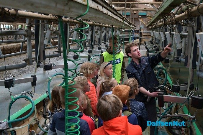 Feijen Diervoeders leert kinderen alles over koeien en hun voer - Foto: Johan Bokma