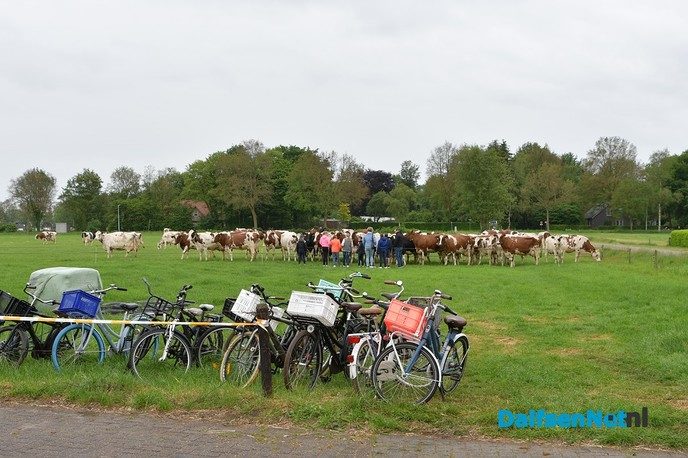 Feijen Diervoeders leert kinderen alles over koeien en hun voer - Foto: Johan Bokma