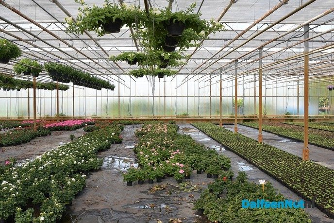 Fotografie-avond bij Kwekerij Onderdijk in Dalfsen - Foto: Johan Bokma