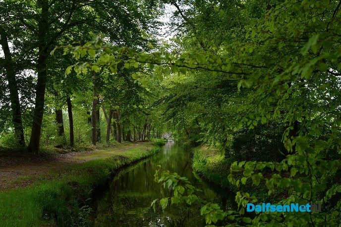 Volop voorjaar in en rond Dalfsen - Foto: Johan Bokma