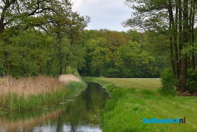 Volop voorjaar in en rond Dalfsen - Foto: Johan Bokma