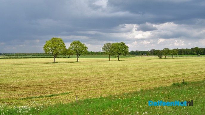 Volop voorjaar in en rond Dalfsen - Foto: Johan Bokma