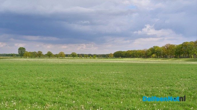 Volop voorjaar in en rond Dalfsen - Foto: Johan Bokma