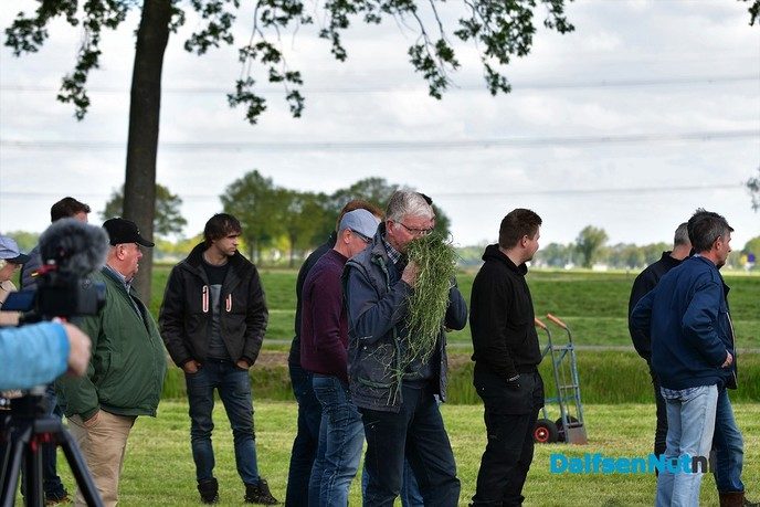 Veldaudit Feijen succes: 50 melkveehouders doken in het gras - Foto: Johan Bokma