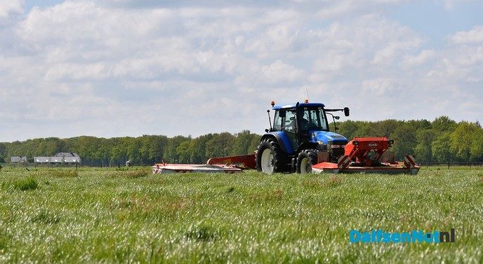 Veldaudit Feijen succes: 50 melkveehouders doken in het gras - Foto: Johan Bokma