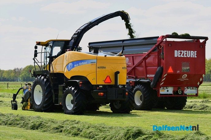 Veldaudit Feijen succes: 50 melkveehouders doken in het gras - Foto: Johan Bokma