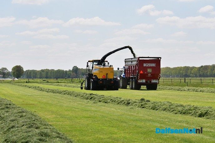 Veldaudit Feijen succes: 50 melkveehouders doken in het gras - Foto: Johan Bokma
