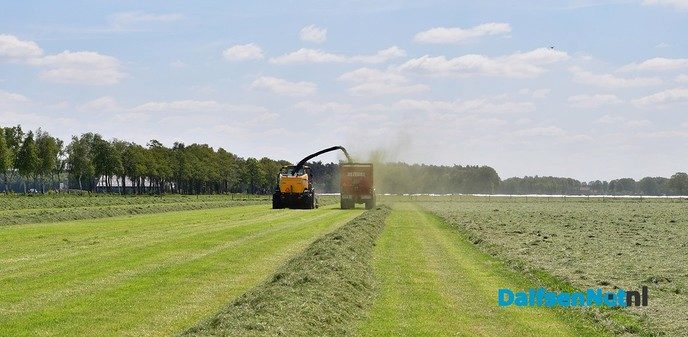 Veldaudit Feijen succes: 50 melkveehouders doken in het gras - Foto: Johan Bokma
