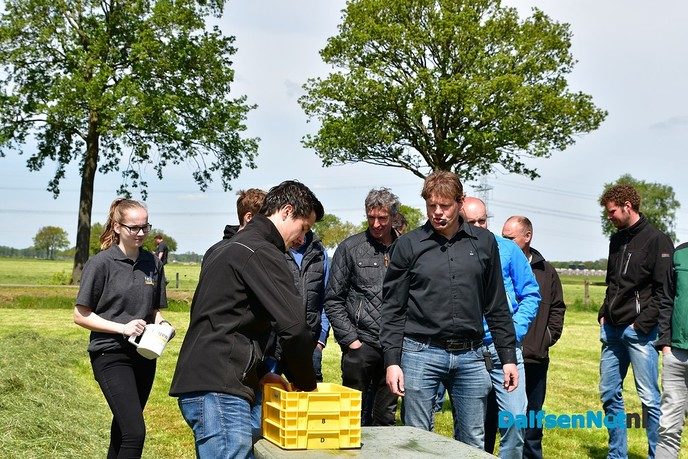 Veldaudit Feijen succes: 50 melkveehouders doken in het gras - Foto: Johan Bokma