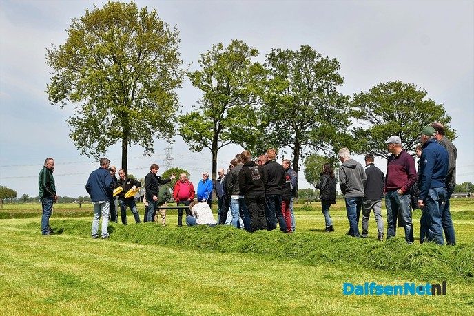 Veldaudit Feijen succes: 50 melkveehouders doken in het gras - Foto: Johan Bokma