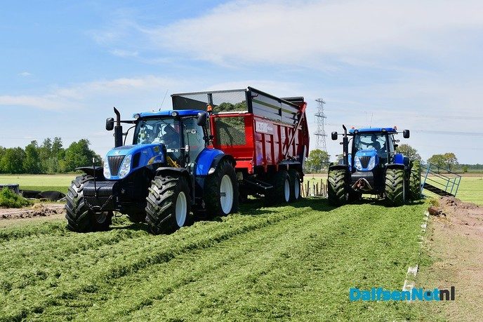 Veldaudit Feijen succes: 50 melkveehouders doken in het gras - Foto: Johan Bokma