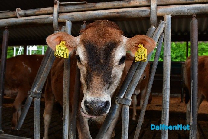 De eerste Open Boerderijdagen een enorm succes! - Foto: Johan Bokma