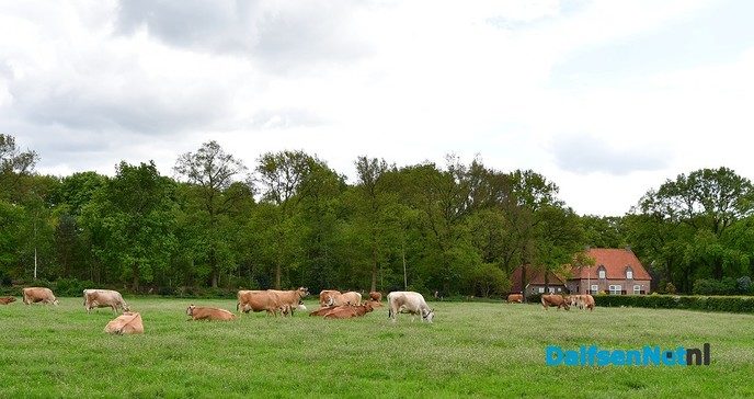 De eerste Open Boerderijdagen een enorm succes! - Foto: Johan Bokma