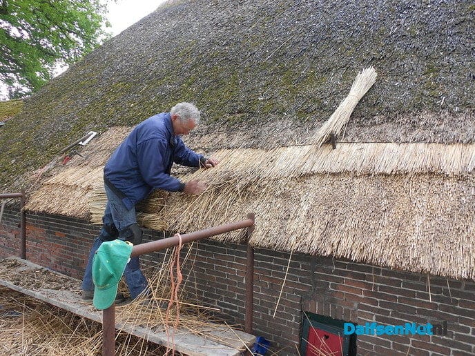 Nieuw riet voor de “Klakkelaar”