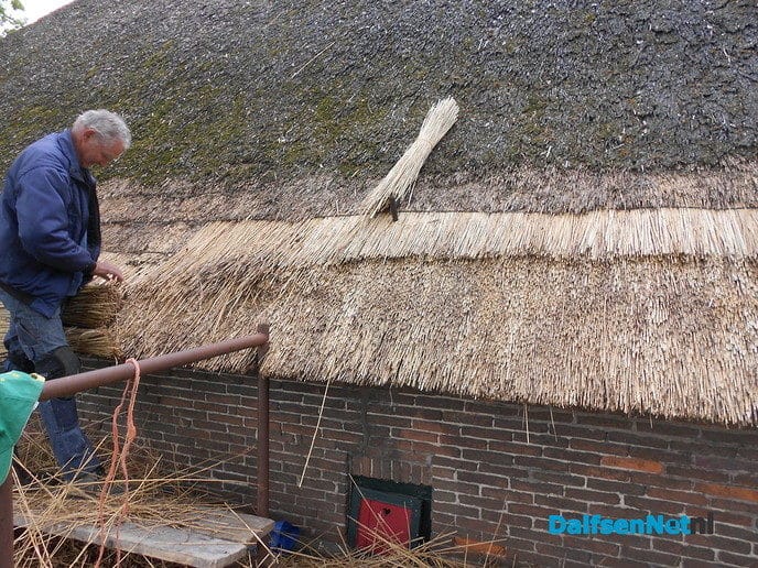 Nieuw riet voor de “Klakkelaar”