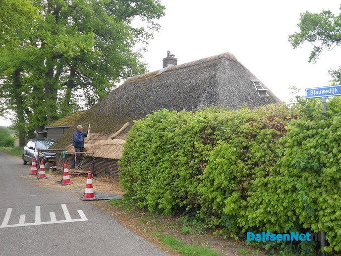 Nieuw riet voor de “Klakkelaar”
